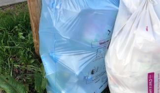 Hygea : bilan du nouveau système de collecte