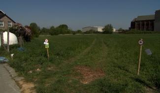 Braine-le-Comte : la fosse Albecq verte et citoyenne