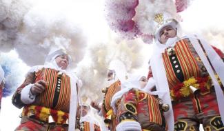 Carnaval de Binche : demandez le programme! 