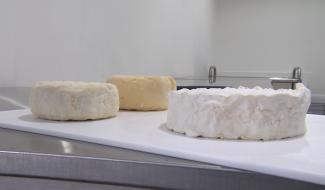 Bellecourt : un fromage manageois fait sensation en France 