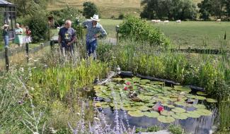 Série jardins : chez André et Marie-Noël à Ronquières