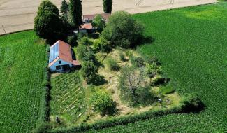 Série jardins : chez Philippe et Carole à Ecaussinnes