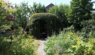 Série jardins : chez Cédric et Gaël à Ecaussinnes