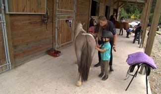 Un manège dédié aux enfants