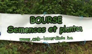 Bois d'Haine : le Festi'Nature vous met au vert