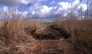 Peissant : la position de la commune d'Estinnes
