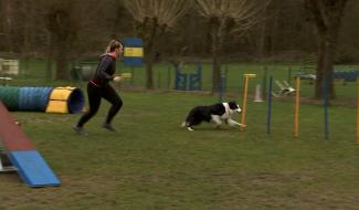Agility : Pauline et Lipo aux championnats du monde junior U19