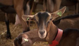Braine-le-Comte : rendez-vous en terre agricole