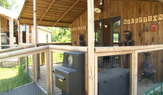 Ecaussinnes : un village de chalets au cœur de la commune