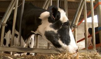 Estinnes-au-Val : une ferme dans l'air du temps 