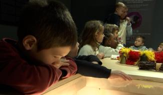 Binche : les enfants en visite au Musée du Carnaval et du Masque 