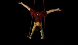 La Louvière : le festival ProPulse dévoile ses nouveaux spectacles