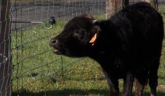 Tourisme : nouvelle saison, nouvelle formule pour la Ligule