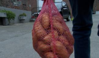 Agriculture : une année catastrophique pour la pomme de terre 
