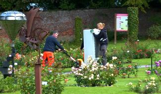 Le concours de la rose nouvelle dans les starting blocks