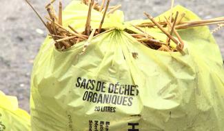 Le Roeulx : nouveau schéma de collecte des déchets