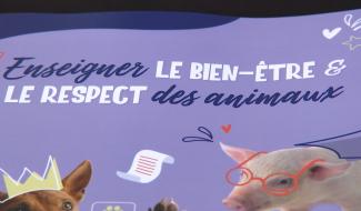 Binche : quatrième salon du bien-être animal