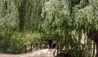 Soignies : un projet d'extension pour le parc pater 