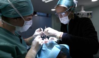 CHU Tivoli : des interventions plus efficaces en dermatochirurgie