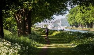 La Louvière : abattage de 48 arbres au Canal du Centre historique