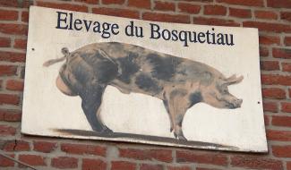 Naast : de la ferme au magasin