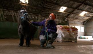 Horrues : l'asbl 4 Balzanes lance un appel aux dons