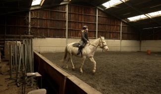 Ville-sur-Haine : équitation et théâtre