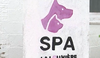 Maurage : maltraitance animale