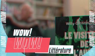 WOW ! Le dernier roman de Willy Grimmonprez