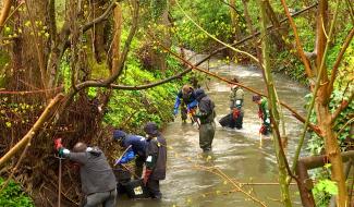 Ronquières : un lit plus propre pour la Sennette