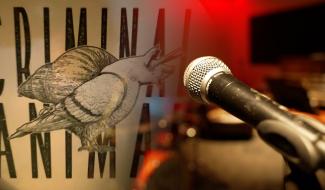 Ronquières Festival : Criminal Animal aiguise ses riffs