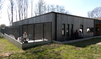 Feluy : les chats cherchent des familles d'accueil