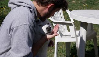 Les métiers de l'été : aux petits soins pour les animaux des vacanciers