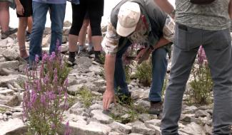 Ecaussinnes : visite exceptionnelle des carrières de Scoufflény