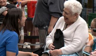 Morlanwelz : Les animaux de la ferme s'invitent au Mariemont Village