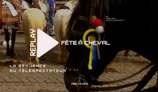 La Séquence du Téléspectateur