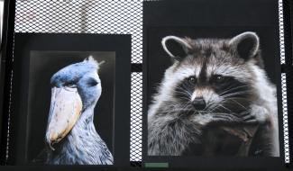 Ecaussinnes : de l'art dans la cité