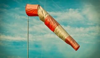 Tempête : fermeture temporaire de l'accès à certains parcs et espaces arborés en région du Centre