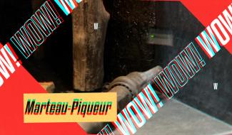 WOW ! Lourd et bruyant, la mateau-piqueur a cassé le charbon et fracassé le mineur.