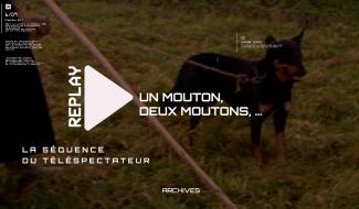 La Séquence du Téléspectateur