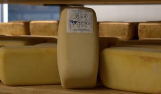 Une médaille d'or pour le fromage artisanal le "Bailli Fermier"