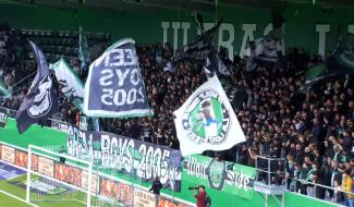 RAAL: déplacement difficile pour les loups à Westerlo