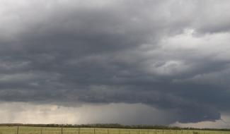 Tempête Goretti : 200 interventions liées au vent pour les pompiers de la zone de secours Hainaut Centre