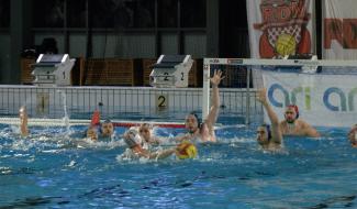 Water-Polo : les Loups ont fait trembler le champion