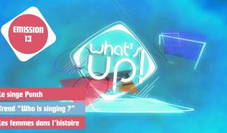 What's Up ! - Emission 13
