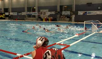 Water-Polo : Fierté pour les Montoises et finale pour le Loups en Coupe