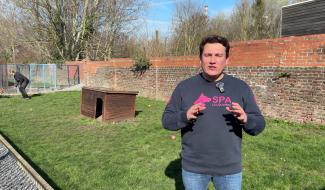 POIL A GRATTER : les parasites