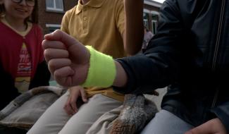 Journée du bonheur : du jaune dans les écoles