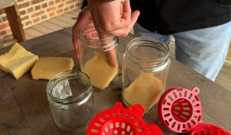 Horrues : la chasse au frelon asiatique est ouverte