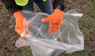 Soignies : le personnel communal se mobilise pour la propreté